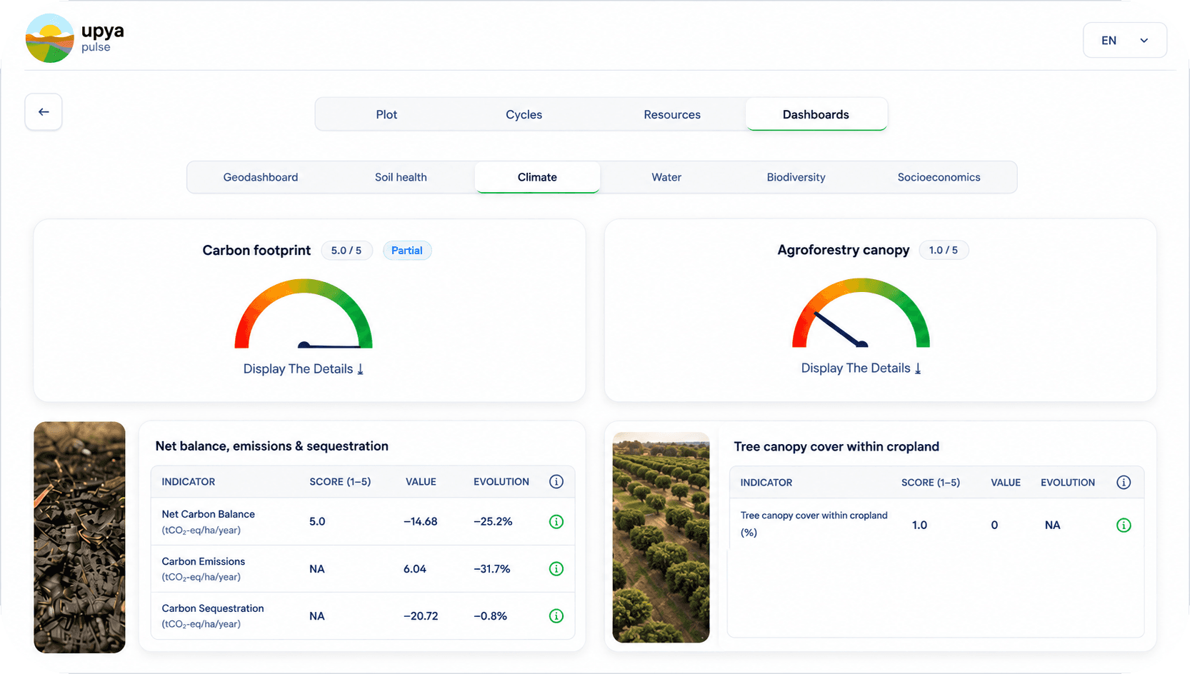 UpyaPulse impact and program data dashboard